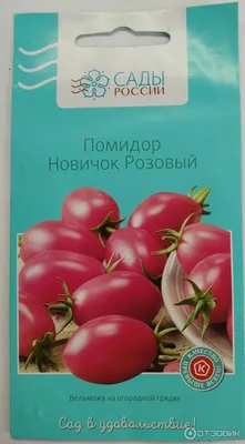 Томаты Сембат Новичок - купить по выгодным ценам в интернет-магазине OZON  (311724543)