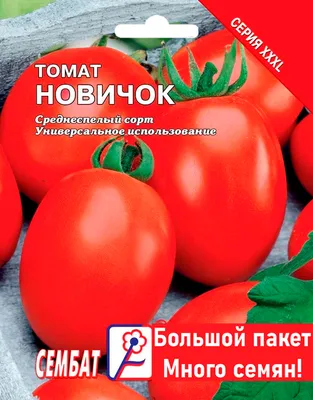 Помидор Новичок 0,1г - семена купить в Киеве, Украине фото, отзывы,  описание - Дачник