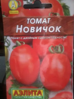 Томат Новичок, 0.2 г купить 〛по выгодной цене в Киеве и Украине | Фото |  Отзывы