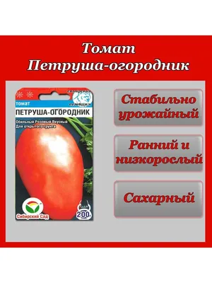 Томат Петруша огородник, семена | ОГОРОД.сайт