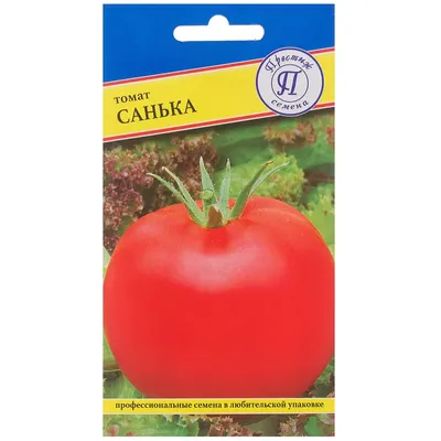 Томат Санька 5 г Gl Seeds (ID#1693894837), цена: 28 ₴, купить на Prom.ua