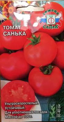 Томаты Агрофирма Аэлита Томат - купить по выгодным ценам в  интернет-магазине OZON (858352977)