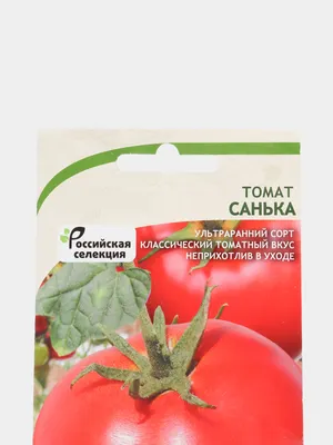 Томат Санька (20 шт. семян) Уральский Дачник 20930527 купить за 132 ₽ в  интернет-магазине Wildberries