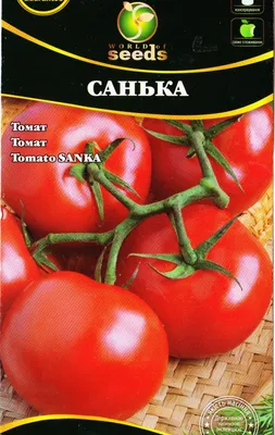 Томат Санька для меня стал сортом на один раз | уДачный проект | Дзен