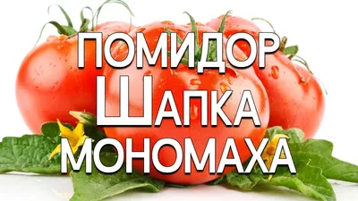 Семена Томатов Шапка Мономаха – купить цветы и растения на OZON по выгодным  ценам