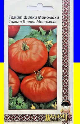 Семена Томат \"Шапка Мономаха\" купить в интернет-магазине ФОНД СССР с  доставкой по России