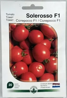Купить семена томата Солероссо F1 (Н6438) 50 семян | Ogurki.com