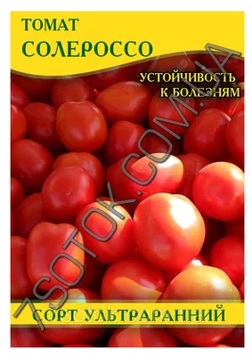 Купити Насіння - Томат Солероссо F1, Hem Zaden (Нідерланди), 20 шт. ❱❱  Колібрі-маркет ❰❰❰