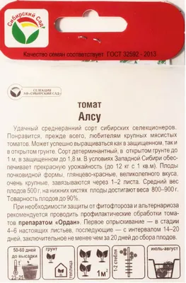 Томат Алсу: обзор характеристик и описание, достоинства и недостатки сорта  | Дачник.RU | Дзен