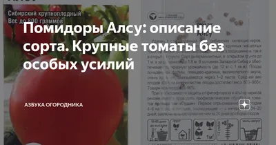 Томаты Семена томатов \"Сибирская коллекция\" - купить по выгодным ценам в  интернет-магазине OZON (445954889)