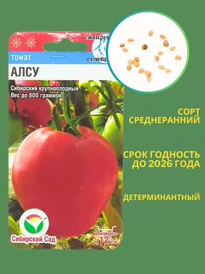 Помидоры Алсу: описание сорта. Крупные томаты без особых усилий | Азбука  огородника | Дзен