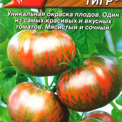КИСТЕВЫЕ СОРТА ТОМАТОВ Кистевые сорта томатов нравятся многим тем, что  облегчают сбор урожая,.. | ВКонтакте