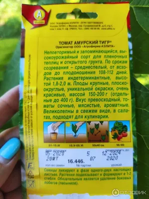 https://volgograd.leroymerlin.ru/product/semena-tomat-amurskiy-tigr-83498582/