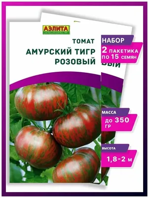 Семена Томат \"Амурский тигр\" набор 1, 3, 5 уп купить по цене 72 ₽ в  интернет-магазине KazanExpress