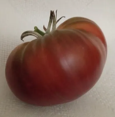 Семена томат Аэлита Амурский тигр - отзывы покупателей на Мегамаркет