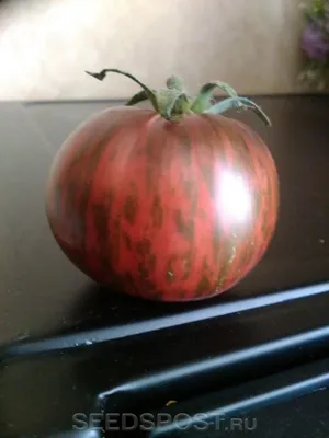 Коллекционные сорта томатов