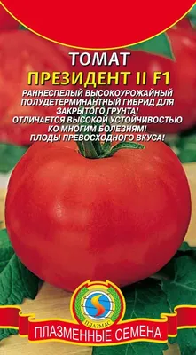 Томат Андромеда F1 15 шт. купить оптом в Томске по цене 15,94 руб.