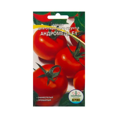 Томат Андромеда: как выращивают помидоры?
