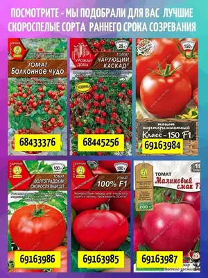 Томат Андромеда F1 (Меркурий F1) семена купить ( детерминантный, ранний)  Элитный ряд, цена в интернет-магазине Супермаркет Семя