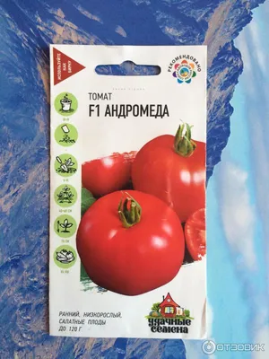 АГРОУСПЕХ Семена томат Андромеда F1, 0,1 г в пакете