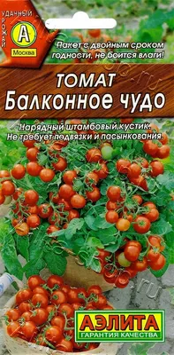 Семена Томат Балконное Чудо желтый, 0,05г АГРОФИРМА ПАРТНЕР 10837928 купить  в интернет-магазине Wildberries