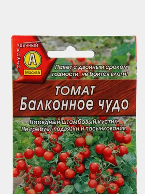 Семена Томат балконное чудо (желтый) Партнер 155135268 купить за 299 ₽ в  интернет-магазине Wildberries