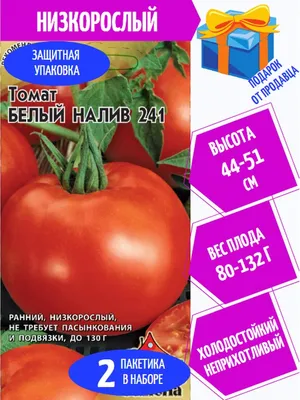 Аделина, Краковяк, Белый налив — неприхотливые сорта томатов. Ранний урожай  плодов можно собирать через 80-100 дней после всходов растений | Огородник  из Сибири | Дзен