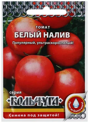 Семена томат Русский огород Белый налив 241 Е00202 1 уп. - отзывы  покупателей на Мегамаркет