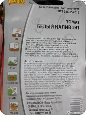 Аделина, Краковяк, Белый налив — неприхотливые сорта томатов. Ранний урожай  плодов можно собирать через 80-100 дней после всходов растений | Огородник  из Сибири | Дзен