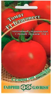 Томат Благовест, описание и личный опыт выращивания. | Дачные опыты | Дзен