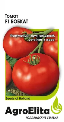 ✓ Семена Томат Бобкат F1, 10шт, AgroElita по цене 55,20 руб. ◈ Большой  выбор ◈ Купить по всей России ✓ Интернет-магазин Гавриш ☎ 8-495-902-77-18