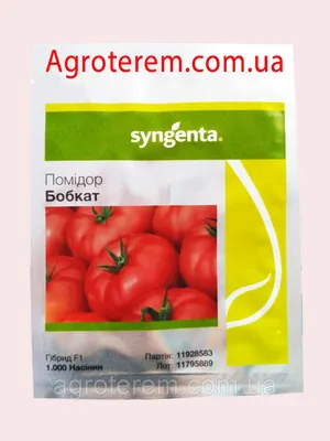 Семена томата Бобкат F1( Bobcat F1 ) 1000с - купить по лучшей цене в  Одесской области от компании \"AGROTEREM\" - 171821315