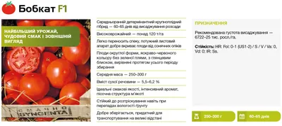 Томат БОБКАТ F1 Syngenta 1000 шт. (ID#605771636), цена: 659 ₴, купить на  Prom.ua