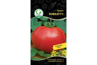 Семена томата Бобкат, 0,5кг: купить оптом, цена 820,80 ₴/упаковка - 7 Соток