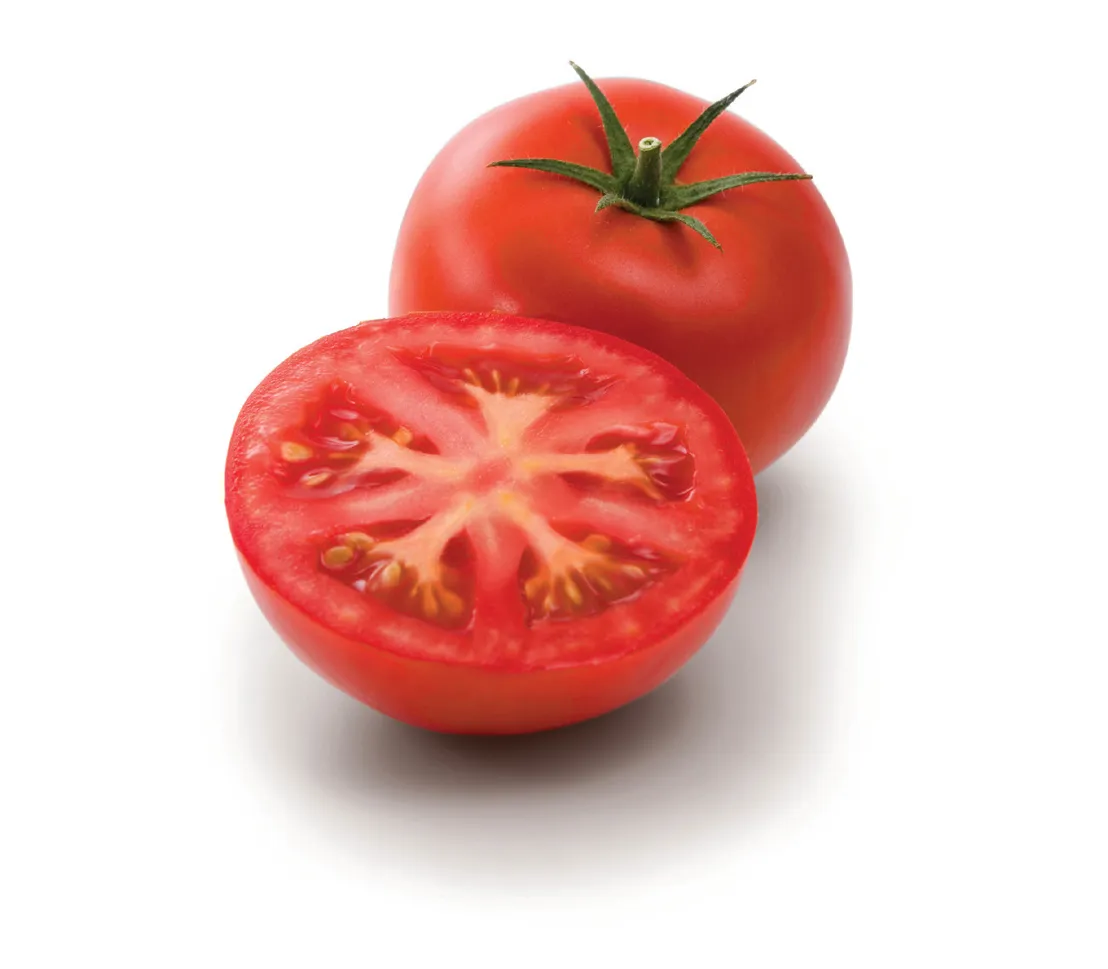 Томат Бобкат f1. Бобкат томат Голландия. Семена томат Бобкат f1. Бобкат f1 томат характеристика. Урожайность томата бобкат