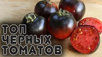 Незаслуженно забытый сорт томата Чёрный Принц - YouTube