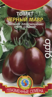 Сорт помидор Черный принц: описание и характеристика, выращивание и уход