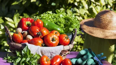 Бесплатное изображение: Чили, баклажан, чеснок, лук-порей, Петрушка,  помидоры, вегетарианец, дикий лук, продукты, помидор