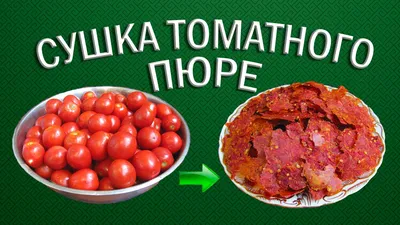 Томат Чумак 0.5 г Gl Seeds (ID#437125882), цена: 7 ₴, купить на Prom.ua