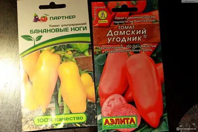 Семена томатов \"Банановые ноги\" \"Партнёр\" - «\"В рот мне ноги\" -  напрашивается в тизер) Банановые ноги). От семечка до спелой помидорки.» |  отзывы