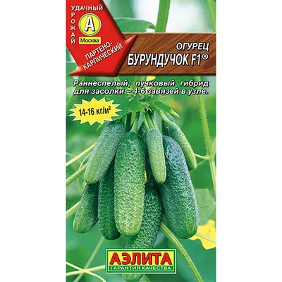 Огурцы \"Дамский Угодник F1\", в пачке 12 семян купить по цене 82 ₽ в  интернет-магазине KazanExpress