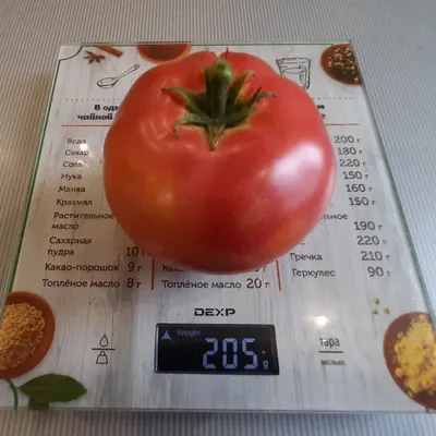 Семена томат Дом семян Демидов 1 уп. - характеристики и описание на  Мегамаркет