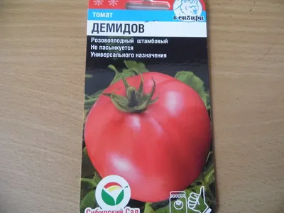 Сорт томата Демидов - насколько неприхотлив урожайный помидор