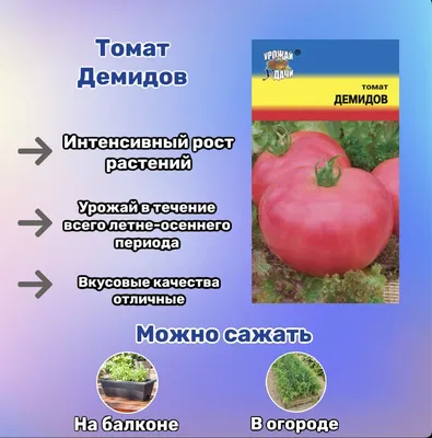 Посадила на рассаду 2 самых неприхотливых и выносливых сорта томатов —  Демидов и Семеновна, знакомьтесь | Блогерство на пенсии | Дзен