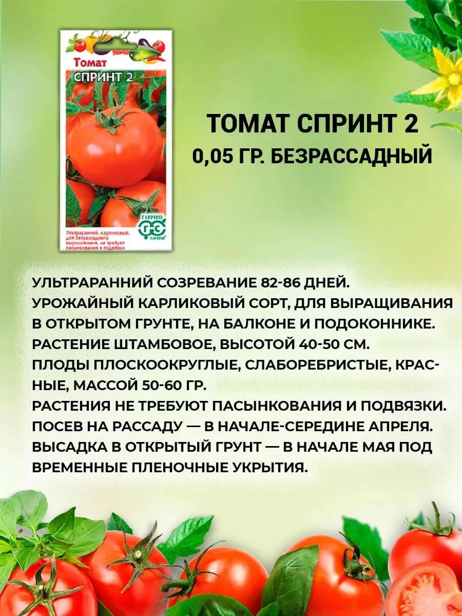 Томат Дубрава характеристика. Томат Дубрава характеристика и описание. Томат гордость Сибири фото.