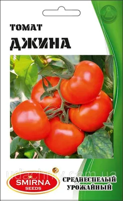 Купить Семена томатов Джина 5 г, Империя семян с доставкой по Украине в  интернет-магазине Агронабор - 662057560