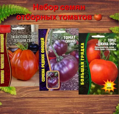 Томат Джина 0,2 г - семена купить в Киеве, Украине фото, отзывы, описание -  Дачник