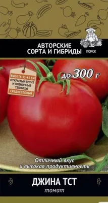 Помидоры сорта Джина: особенности выращивания и ухода, можно ли  консервировать