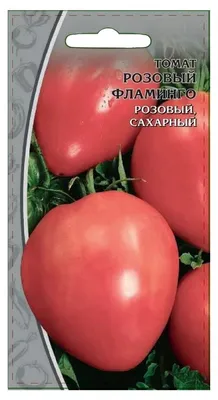 Больше не буду сажать крупные помидоры. Сорта томатов некрупных, но  мясистых и вкусных | уДачный проект | Дзен