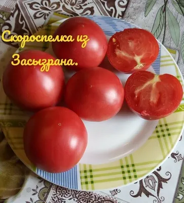 Знаменитые сызранские томаты - нежная сахарная мякоть, чудесный вкус  детства! | Хозяйство Салминых | Дзен